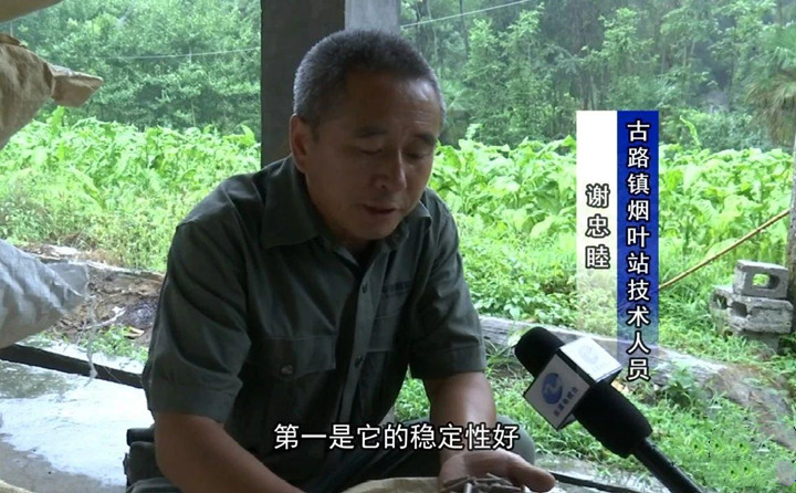 緊緊抓住木屑造粒機(jī)生物質(zhì)顆粒燃料加工場(chǎng)地建設(shè)項(xiàng)目落地的契機(jī)，找準(zhǔn)結(jié)合點(diǎn)，推動(dòng)共和綜合服務(wù)型煙農(nóng)專業(yè)合作社與生物質(zhì)顆粒燃料加工廠的緊密合作.jpg