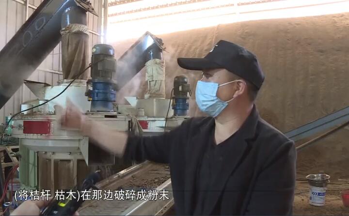 將桔桿、枯木在那邊破碎成粉末，然后經過這兩個造粒機的碾壓，形成這種顆粒燃料出來，形成最后的產品.jpg