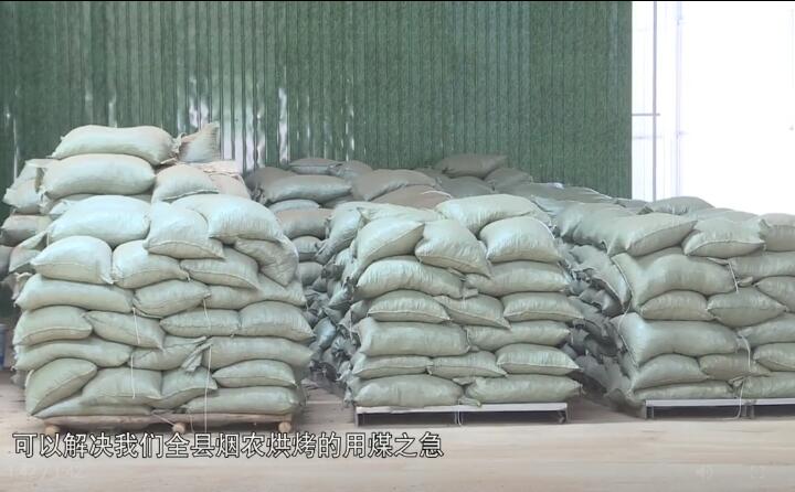 造粒機生產下來的生物質燃料顆粒，可以解決全縣煙農烘烤的用煤之急，用它替代煤來烤煙，可以解決2萬畝烤煙的烘烤燃料.jpg