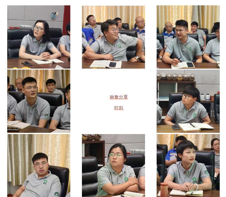 銷售精英們結(jié)合自己特點(diǎn)進(jìn)行工作匯報(bào)。.jpg